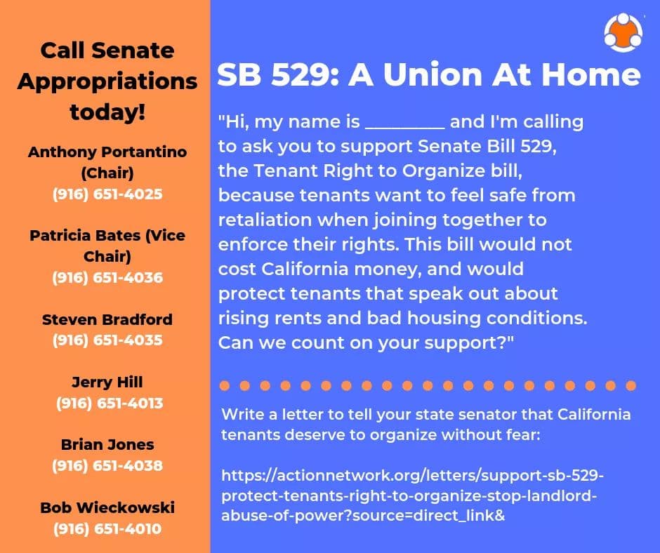 60051019_433030427267775_5967093391131934720_n